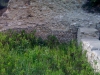 villa-di-traiano-ruderi-b