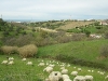 fiumaretta-220307-031