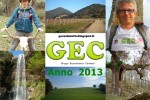 Gec - Anno 2013-Collage