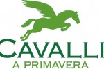 cavalli_a_primavera