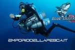 Blue Shark Diving
