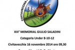 Rugby Memorial Saladini 2014