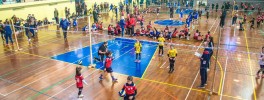 volley-s3-palazzetto-pl-2